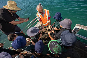 Tiakina Taiao Biosecurity Programme 2025