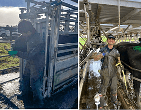 Leading large animal care: Oscar Porras