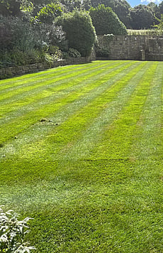 Large ornamental lawn