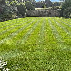 Large ornamental lawn