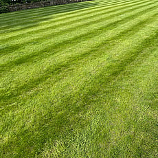 Large ornamental lawn