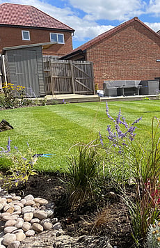 Medium ornamental lawn