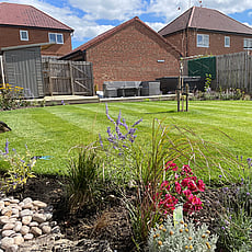 Medium ornamental lawn