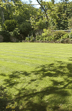 Large ornamental lawn