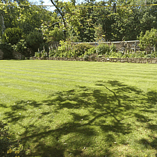 Large ornamental lawn 