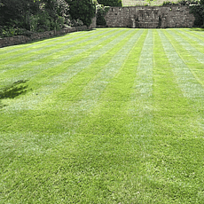 Large ornamental lawn 