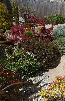 Rotunda circle surrounded by selected shrubbery