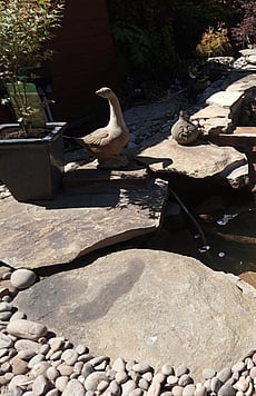 Natural sandstone water feature