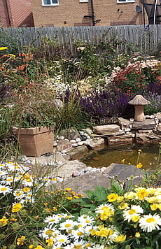Natural sandstone water feature