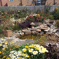 Natural sandstone water feature