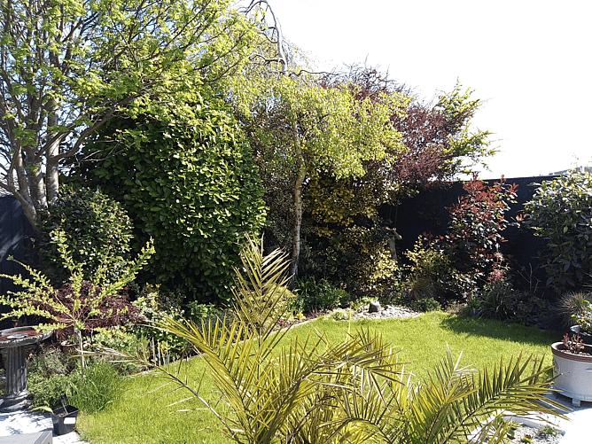 Landscaping, Newton Hall