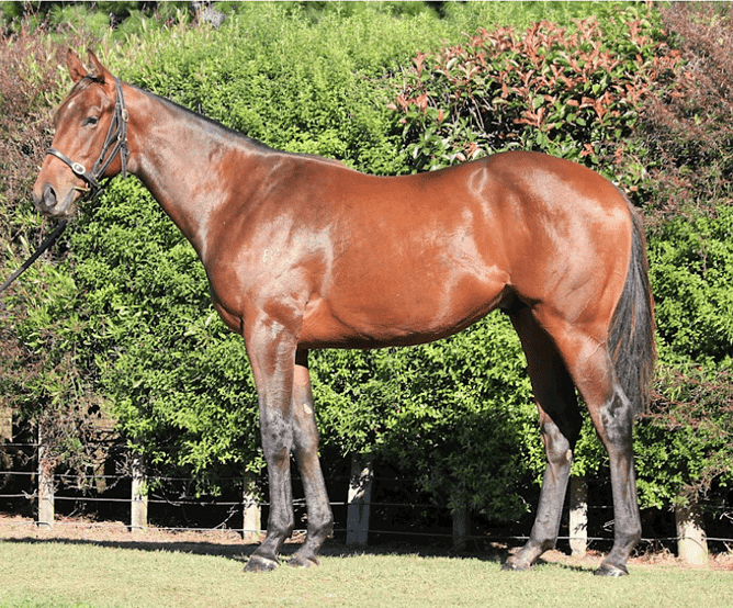 Lot 34