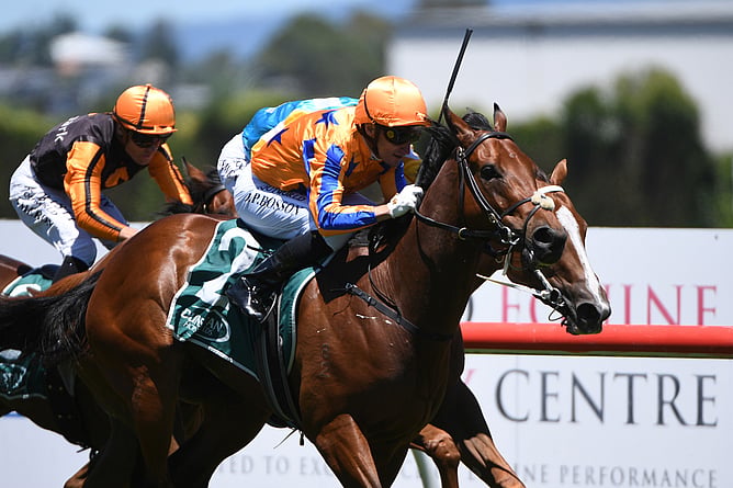 To Bravery Born will continue his racing career in Hong Kong.  - Photo: Kenton Wright (Race Images)