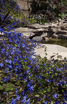 Natural sandstone water feature