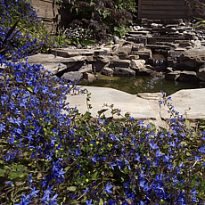 Natural sandstone water feature