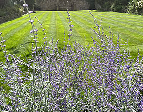The Hidden Challenges of New-Build Gardens: What You Need to Know