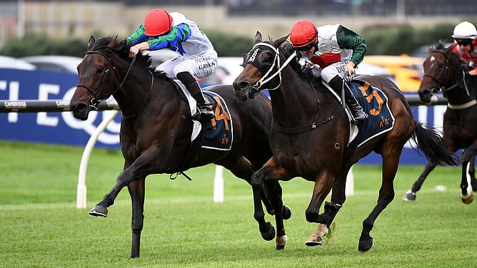 Solid Gold (inside) winning the Gr.3 Trelawney Stud Championship Stakes (2100m). - Photo: Kenton Wright (Race Images)