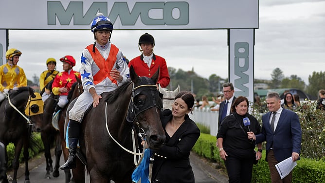 Lupo Solitario returns victorious following the Gr.3 Manco Easter Handicap (1600m).  - Photo: Kenton Wright (Race Images)