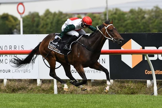 Group One winner Mercurial has been retired. - Photo: Kenton Wright (Race Images)
