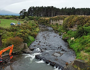Working together to restore the Kaūpokonui River