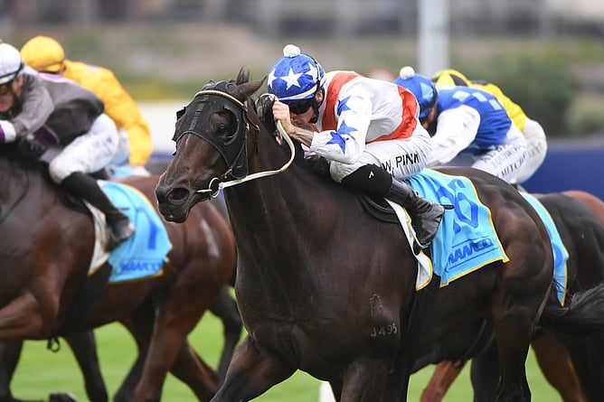 Lupo Solitario winning the Gr.3 Easter Handicap (1600m). - Photo: Kenton Wright (Race Images)