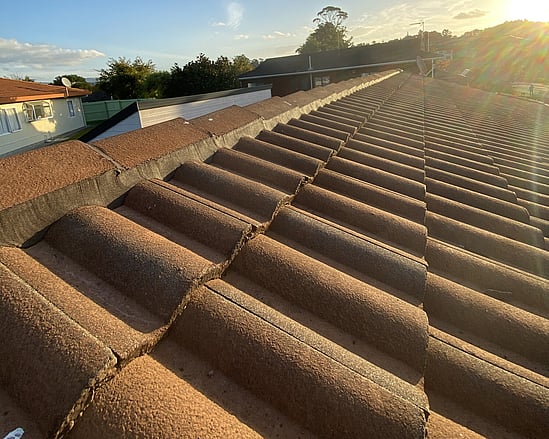 Roof Repairs, Maintenance & Leak Detection