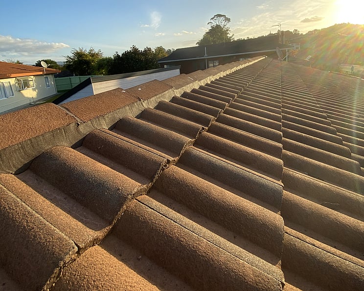 ROOFPRO provides comprehensive roof repair, maintenance, and leak detection services for all roof types &mdash; from small repair jobs to large remedial projects.