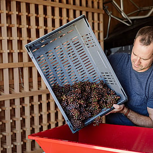OUR WINERY - All our wine is handcrafted and bottled onsite from only hand harvested grapes grown on our property. We take steps to preserve the authenticity and diversity of our wines by minimising interventions and additions.