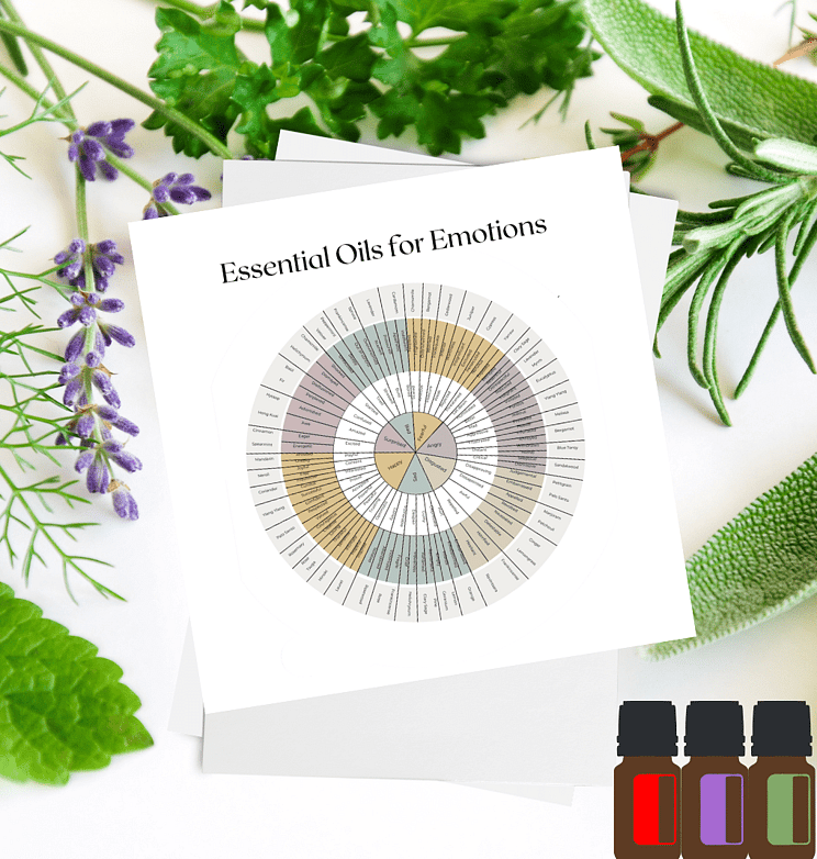 A print out of an Aromatherapy Emotions Wheel on a bench with herbs