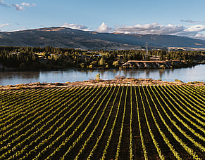 Central Otago's oldest winery starts new tours this month