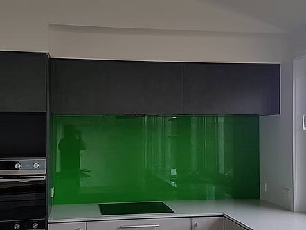 Lizzard splashback