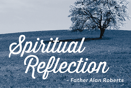 Spiritual Reflection - August 2026