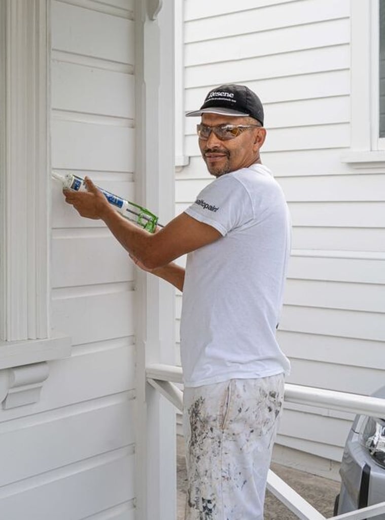 Daniel Zapata Master Painter Wall Treats. 