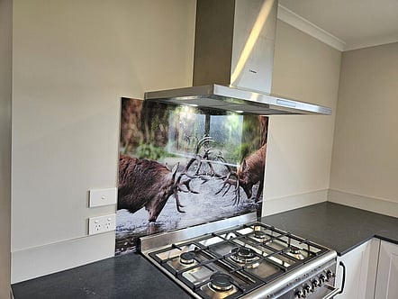 Stags splashback