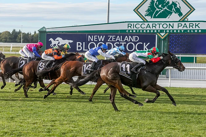 Bauble winning the Gr.3 Coca-Cola Canterbury Gold Cup (2000m). - Photo: Race Images South