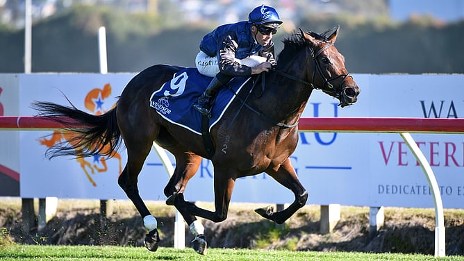 Drops Of God winning the Gr.3 Windsor Park Stud Cambridge Breeders’ Stakes (1200m). - Photo: Kenton Wright (Race Images)