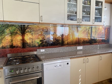 Autumn Forest splashback