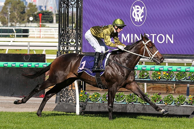 Blind Raise added black type to his unbeaten record in Saturday’s A$175,000 Listed ANZAC Day Stakes (1400m) at Flemington. - Photo: Bruno Cannatelli