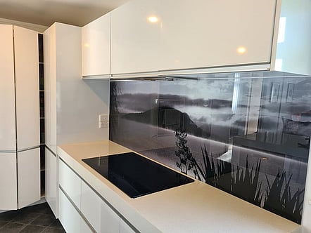 Mokoia Island - Rotorua  splashback