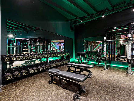 Gym Mirrors