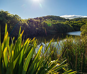 End the day with a sunset cruise aboard the Wahine Moe