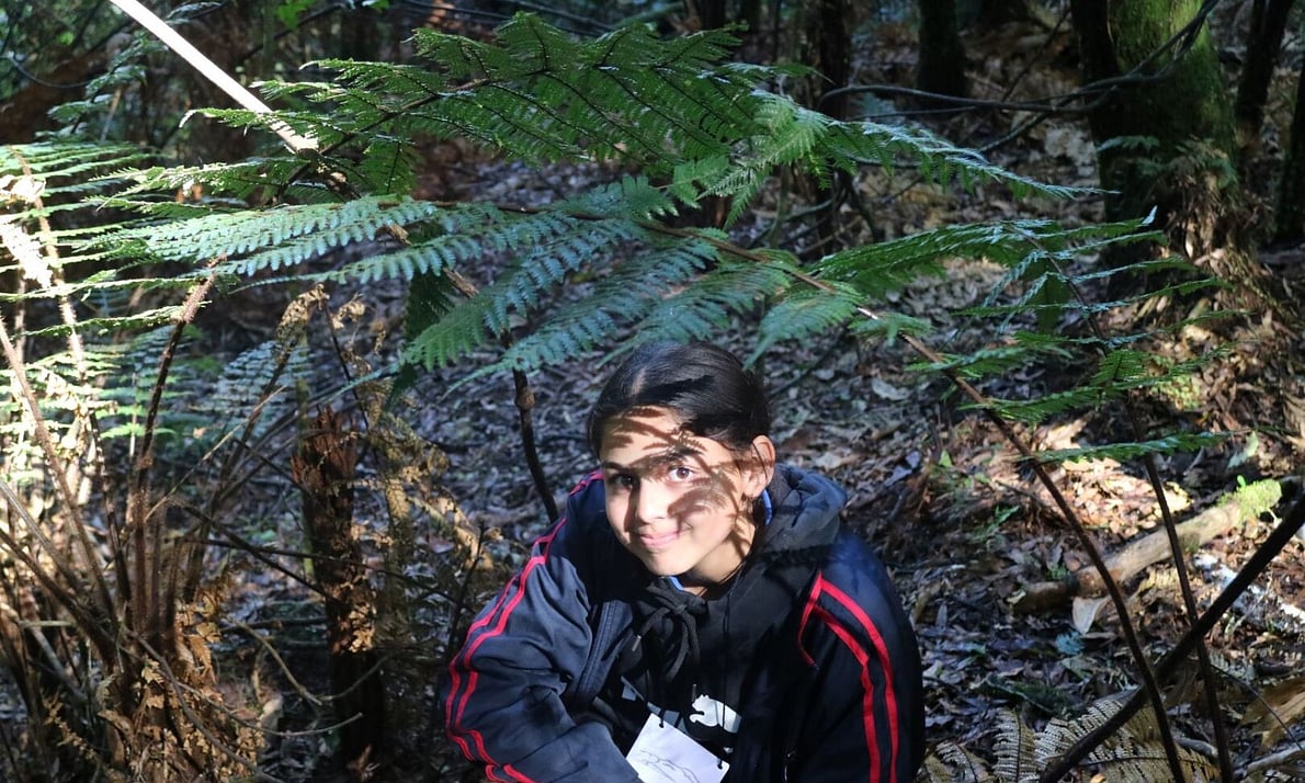 Girl with fern shadow