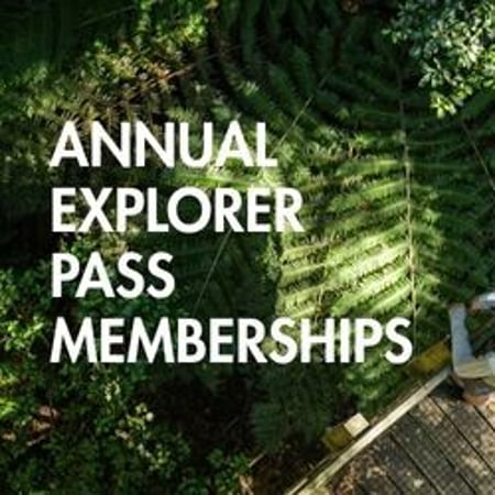 Annual Explorer Pass Memberships