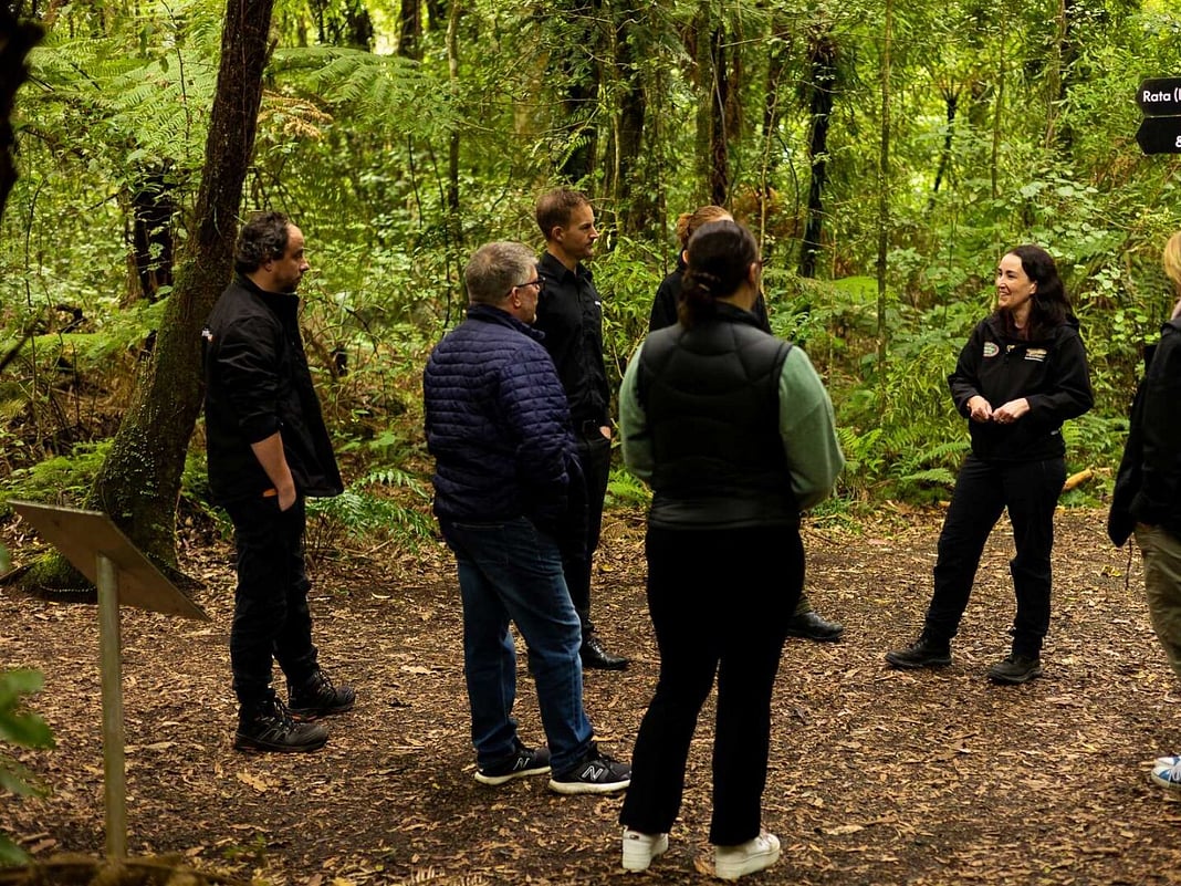Group learns about New Zealand's unique wildlife on a tour at Sanctuary Mountain Maungatautari from expert guide