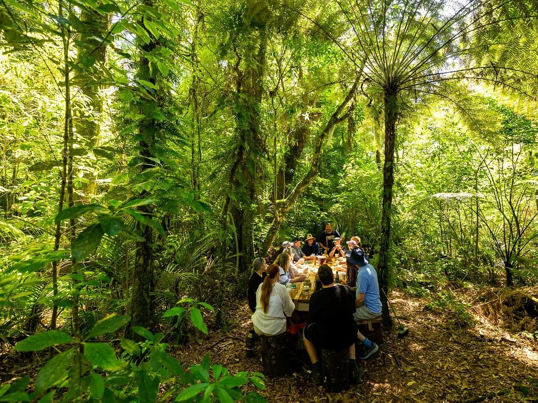 Group connects as a team at the end of your Moa Hunter Tour with a cup of kawakawa tea at Sanctuary Mountain Maungatautari