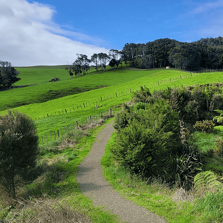 Northern Trailhead Track