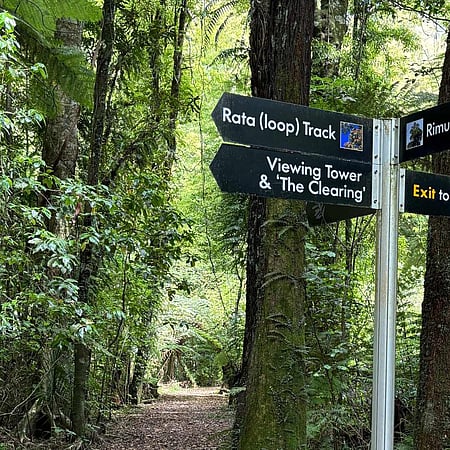Track signs in the southern enclosure