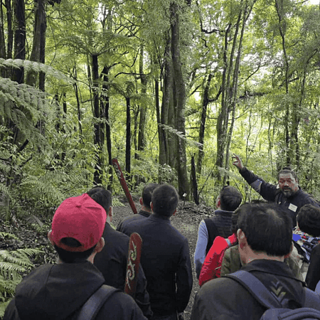 Moa Hunter Tour cultural experience