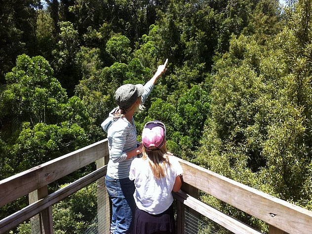 Private Guided Tour