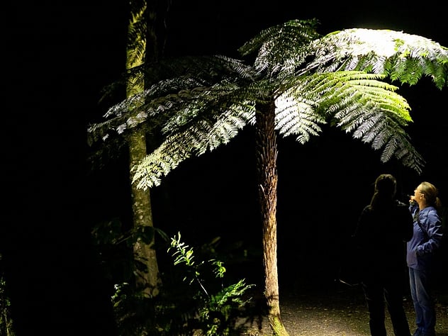 Sanctuary Mountain at Night